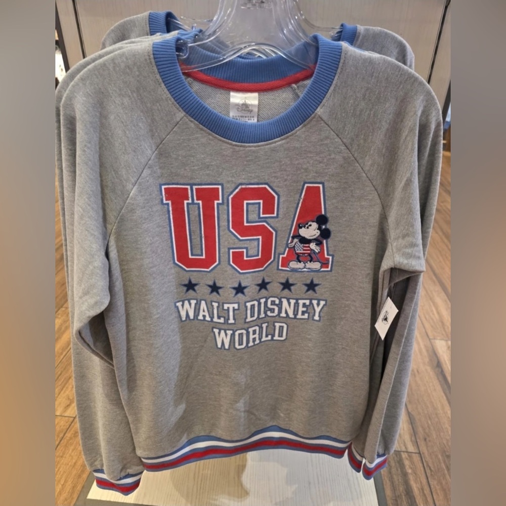 Walt Disney World USA Gray Pullover Sweatshirt Unisex